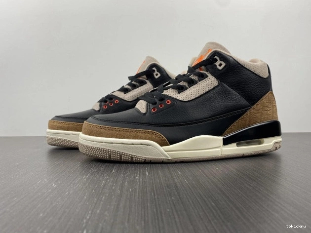 Reps TBK Elephant Desert Jordan Air CT8532-008 3 0706